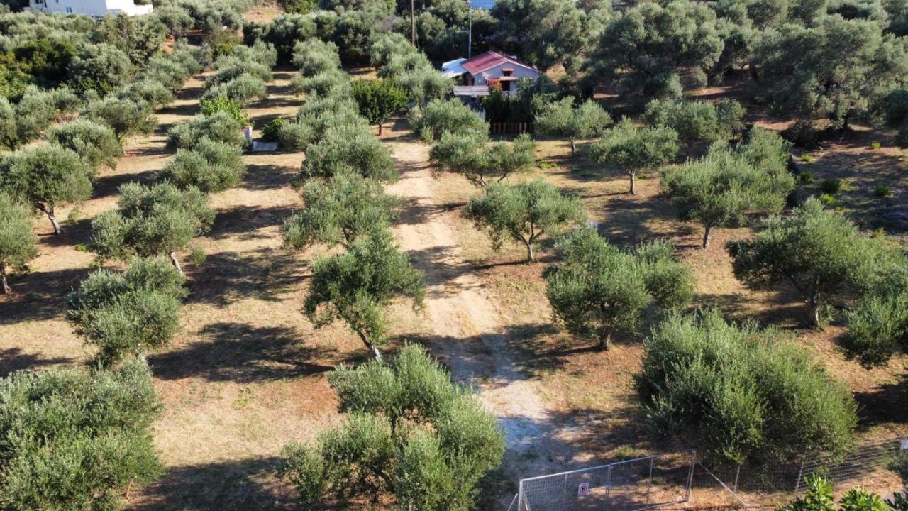 Olea Cottage Galatás Buitenkant foto