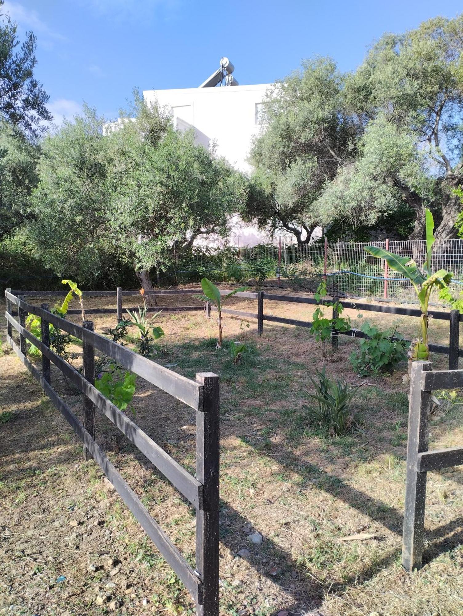 Olea Cottage Galatás Buitenkant foto